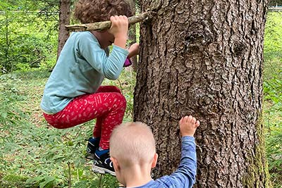 Spielplatz - Bachwiesl Hof