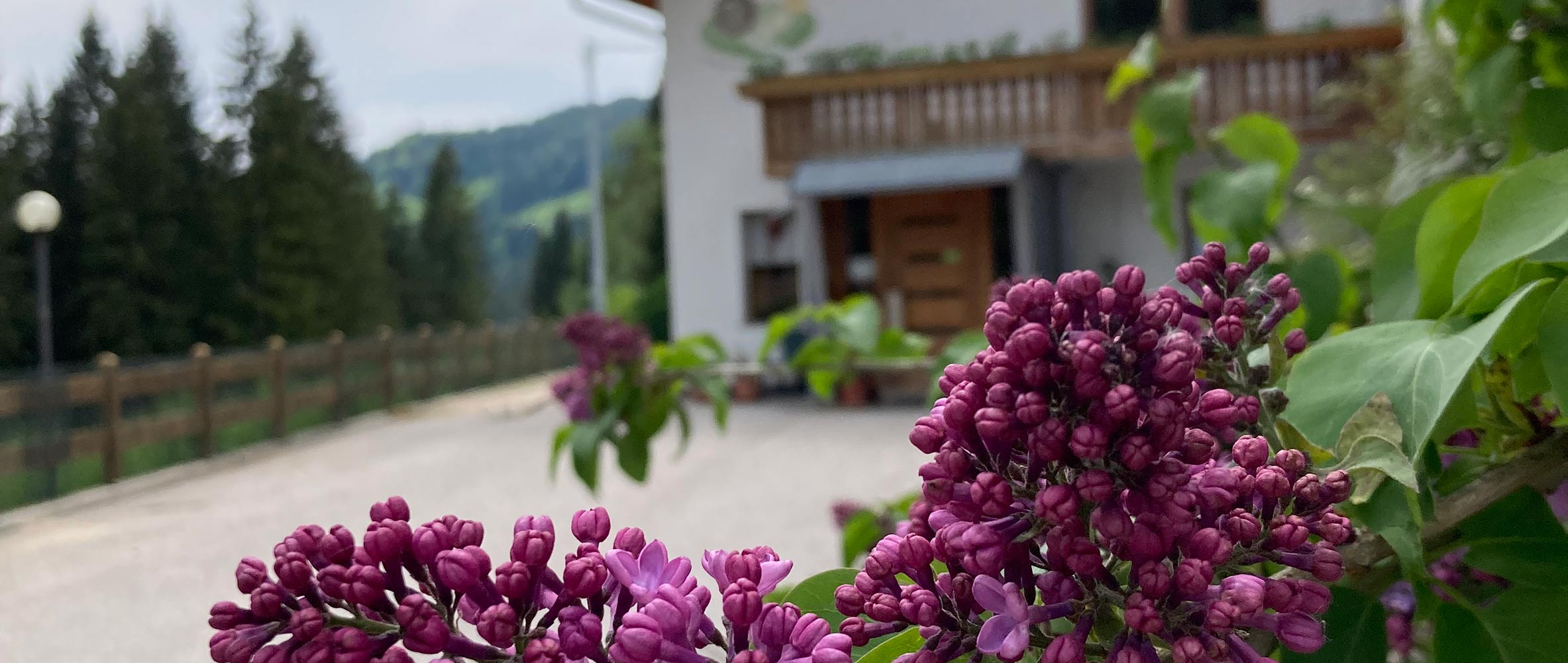 Anfahrt zum Bachwiesl Hof 