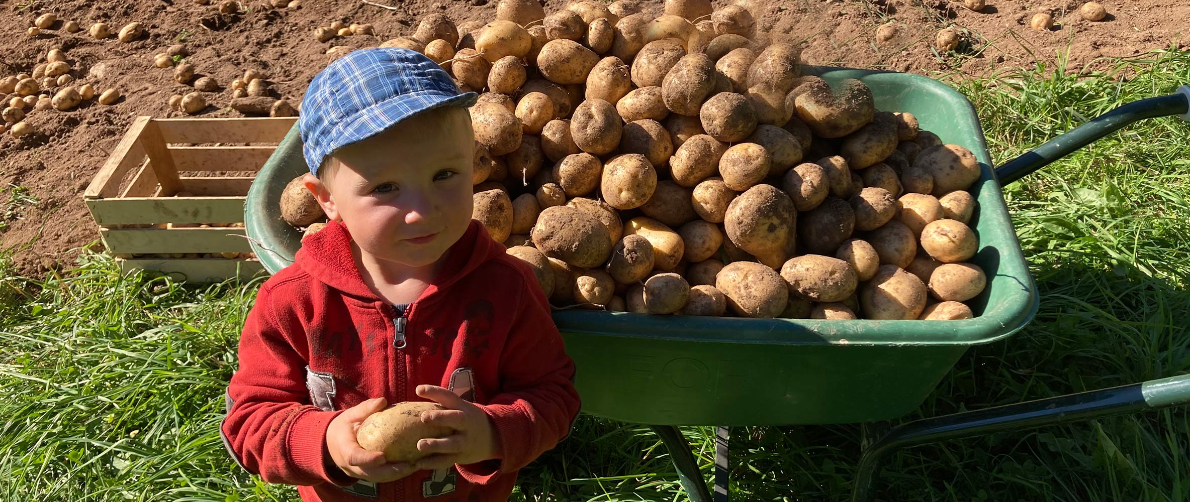 Familie Di Salvatore - Bachwiesl Hof