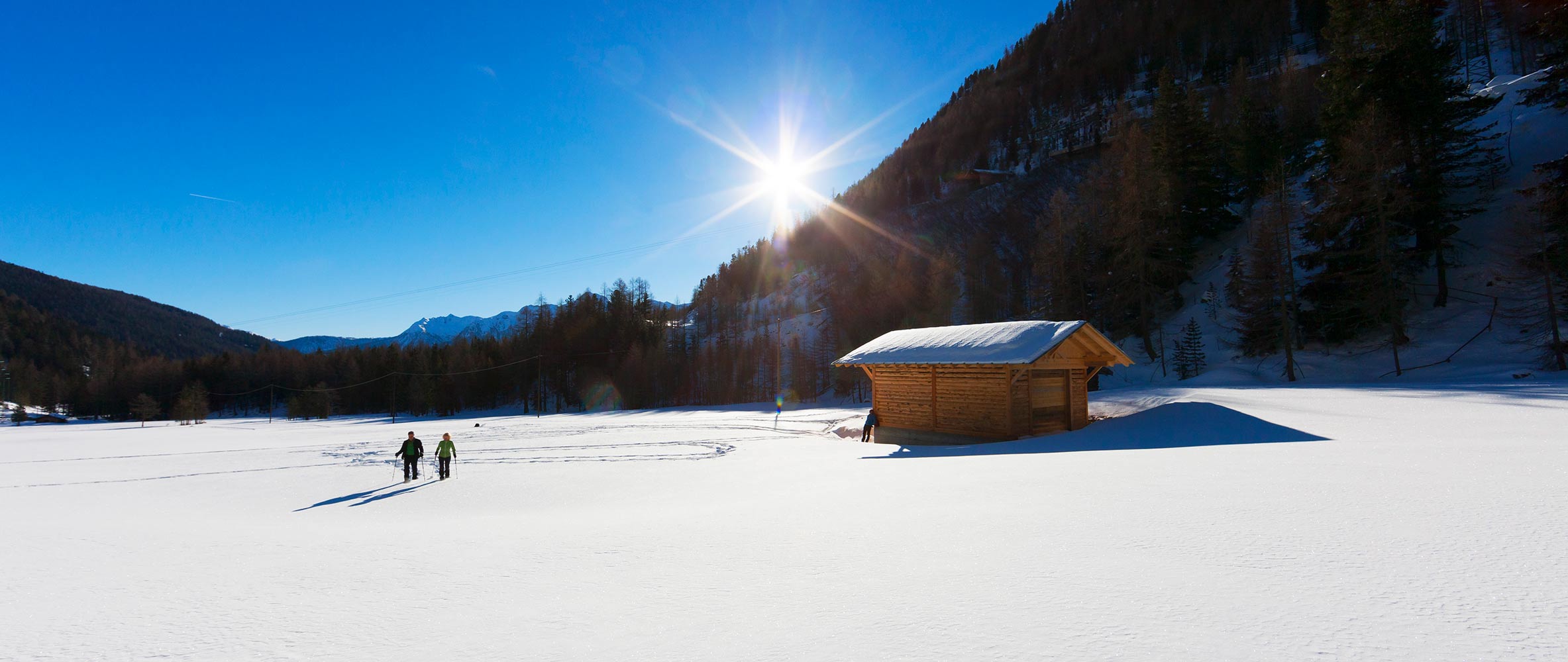 Freizeitangebote in Proveis -  Bachwiesl Hof