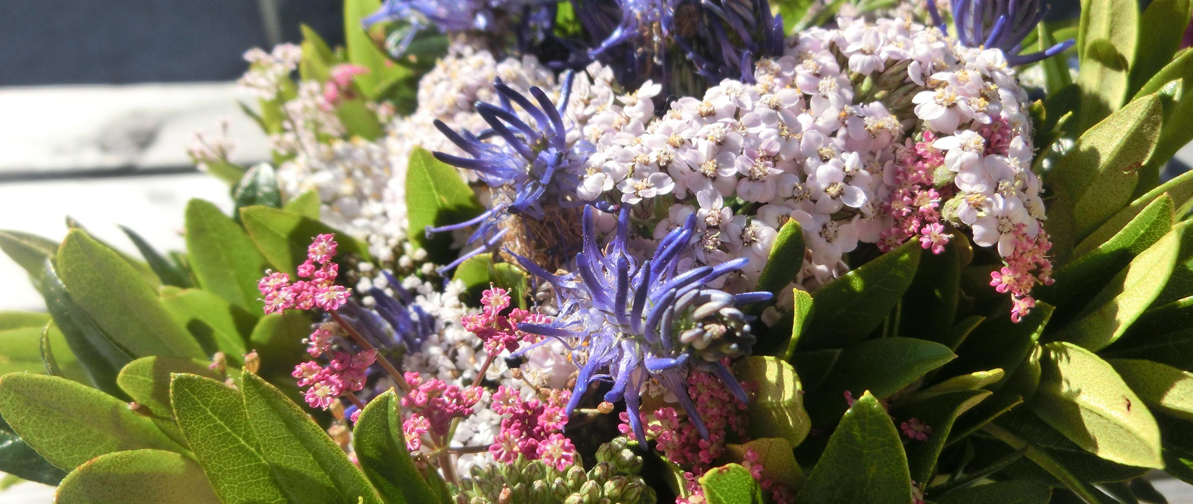 Örtliche Infrastruktur