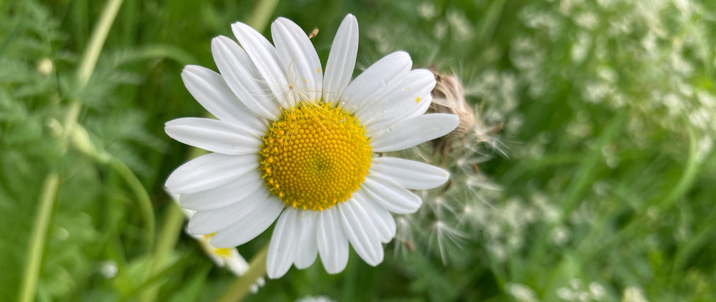 Örtliche Infrastruktur