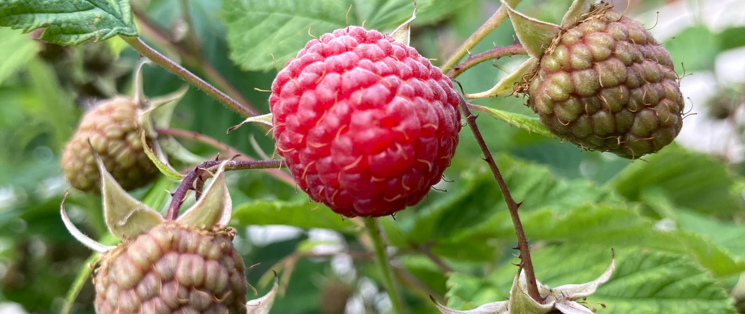 Örtliche Infrastruktur