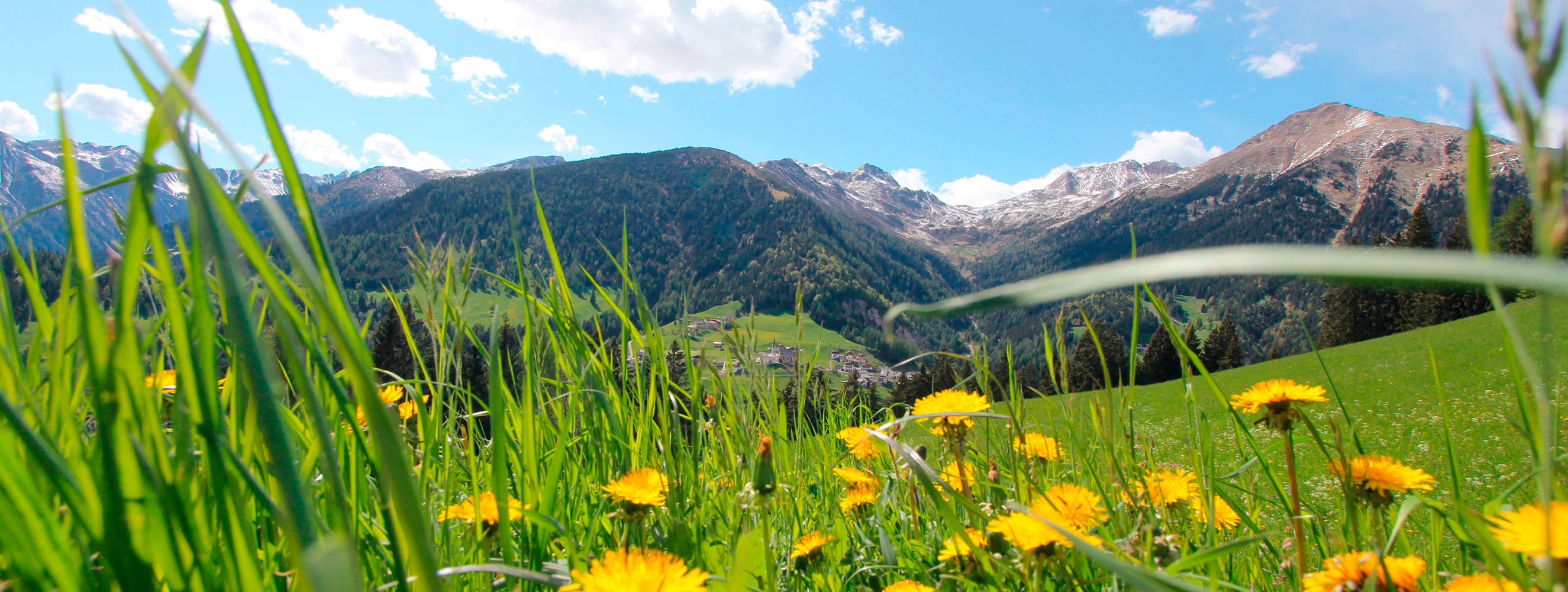 Jahreszeiten in Proveis - Bachwiesl Hof