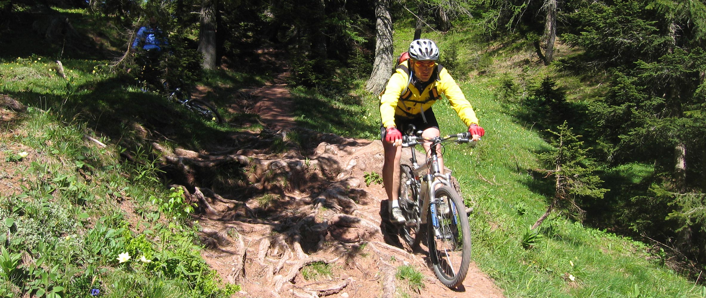 Montainbiker - Bachwiesl Hof