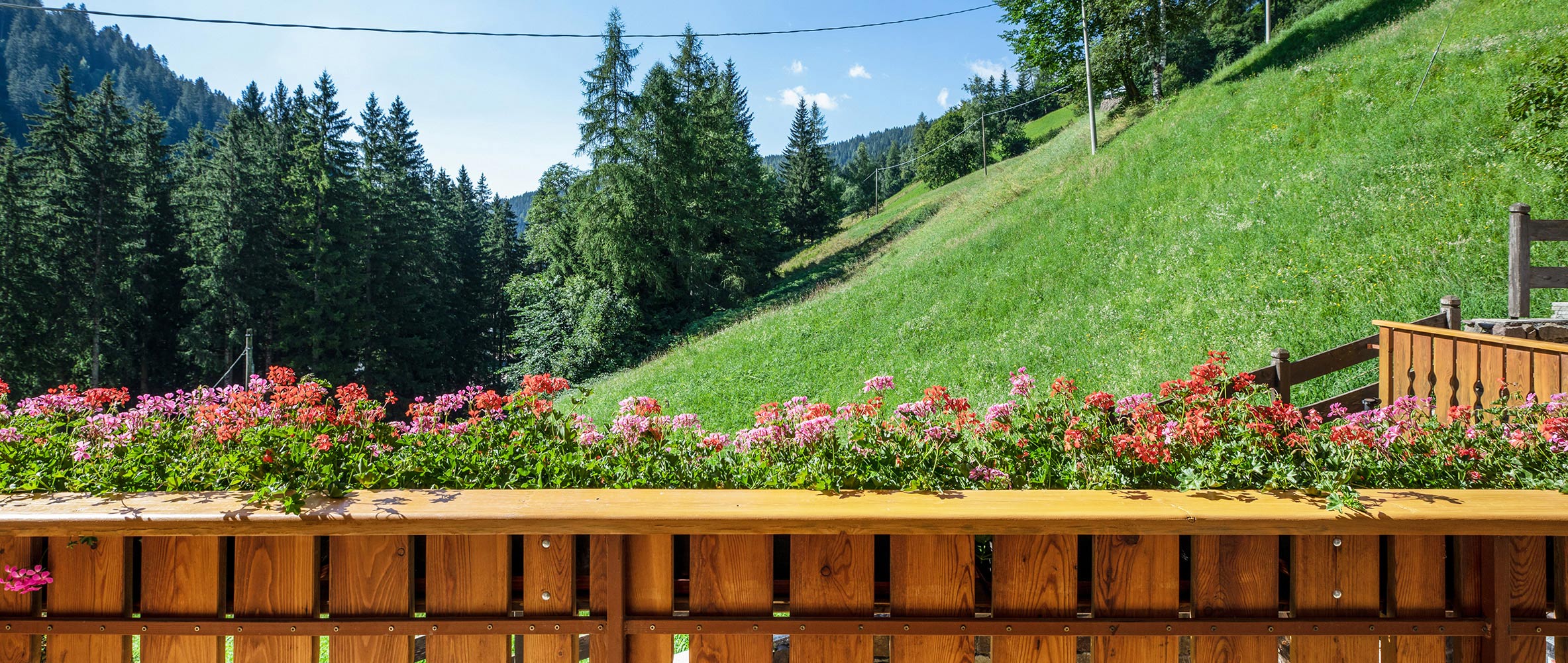 Ferienwohnung - Ocker