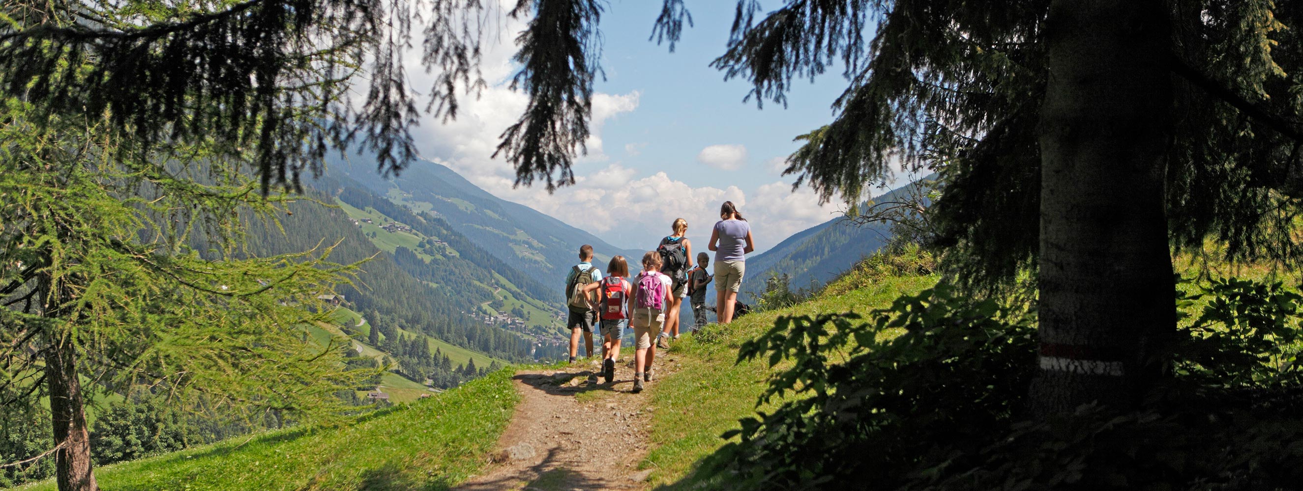 Freizeitangebote in Proveis -  Bachwiesl Hof